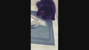 Вижу-еда улыбается