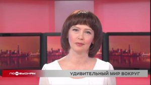 Новости ПО БУДНЯМ 10.11.2025