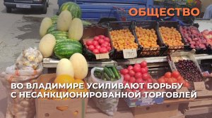 Во Владимире усиливают борьбу с несанкционированной торговлей