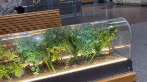 ЖД вокзал Ростов Главный - Главный ЖД хаб юга России и Северные ворота Кавказа