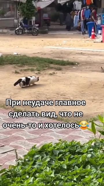 Я поваляться хотел 😂😁😁