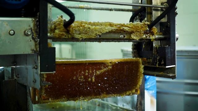 Дары Салаира Иванов