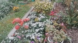 1. 2.10. Начало октября. Праздник для ветеранов педагогического труда. Ну и многое другое...