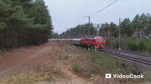 пассажирские поезда осенью в Лодейном Поле