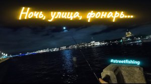 | Вечерний стрит фишинг| Ловим окуней в темноте |
