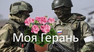 Моя Герань