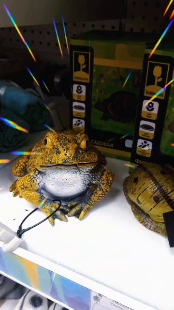 Лягушка царевна, поцелуй ее и сбудется все что хочешь 👍🤣#развлечение смотреть онлайн