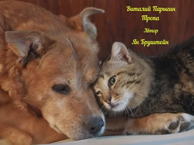 Виталий Парыгин - Тропа смотреть онлайн