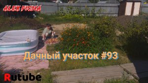 Дачный участок с нуля #93 Сбор урожая