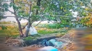 Бои за Зверево. Как освобождали село .