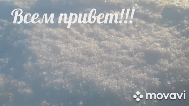 Неподдатливый лес. Обед на природе)