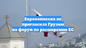 Еврокомиссия не пригласила Грузию на форум по расширению ЕС