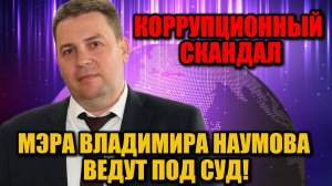 Мэр Владимира Дмитрий Наумов предстанет перед судом за взятку в особо крупном размере