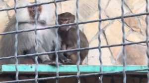 Благодаря приходам Люси у Елисея и Лиды стали ПРЕКРАСНЫЕ ОТНОШЕНИЯ)))