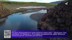 ДАЙДЖЕСТ «СЕВЕРНОГО ГОРОДА»,11.11.2025