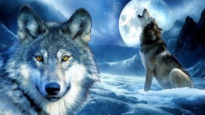 Джек Лондон,, Сын Волка,,