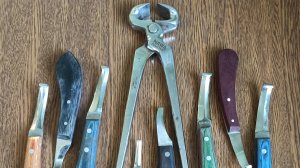 КОПЫТНЫЕ НОЖИ, ЧТО С НИМИ НЕ ТАК?