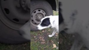 Установка хабов на уаз.