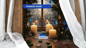 Новогодние новинки