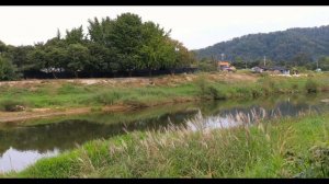 12 ноября - Время тайны и волшебных перемен.