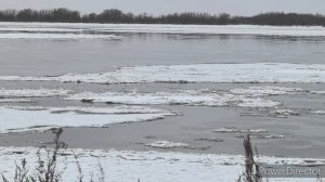 Жизнь аборигенки. Сыном ездили в Богородское. Мои шторы, шок контент😁.