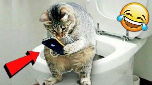 СМЕШНЫЕ ВИДЕОПРИКОЛЫ |Смешные моменты с животными |Я РЖАЛ ДО СЛЕЗ|ПОДБОРКА ПРИКОЛОВ