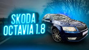 Обзор SKODA OCTAVIA 1.8
