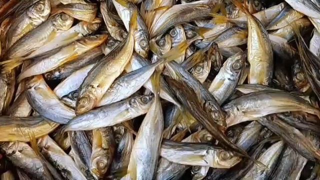 Ставрида холодного копчения смотреть онлайн