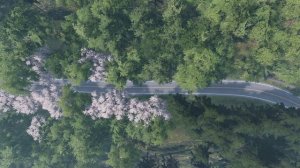 (Я сяду в машину, поеду по серпантину) DJ Hitretz & DJ Hitretz Remix Портофино