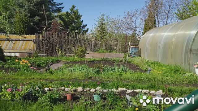 Моя чудо-грядка из чего попало))) Несколько дней из жизни на даче.