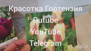 Посадка тюльпанов в кашпо 🌷🌷🌷