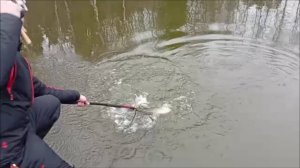 Форель ловится и на железо, и на воблеры, и на резину. Клёвое место, Лосиный остров, спорт-зона.