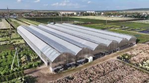 Питомник и Садовый центр Веры Глуховой - 2025