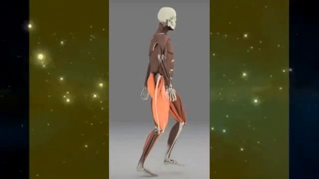 Гаряев-Матрицы.РФ__Секрет 1 - Пешком к здоровью. Целебная ходьба - здоровое сердце, все органы и смотреть онлайн