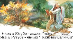 Глава 11 Религии\ Часть 4-А Христианство\раздел 19) Детская Библия\Тема Вам 50 лет\ Вам будет 70\