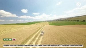 Дайджест новостей 11.11.2025 г.