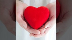 A-Lika@А.Фелер