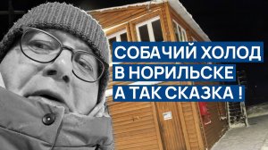 СОБАЧИЙ ХОЛОД в Норильске 🥶 Красиво и сказочно НО -30 ❄️ Делал шашлык РУКИ ЧУТЬ НЕ ОТМОРОЗИЛ 😬