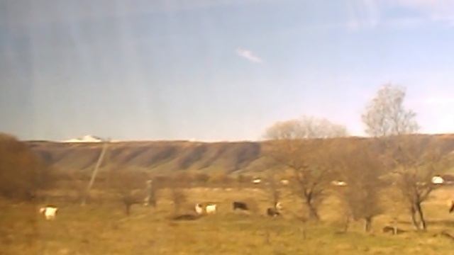 DSCN8432 Осенний Архыз,канатка,ферма Альпаки ноябрь 2025