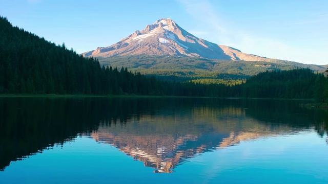 🌊 Атмосфера озера | Нежные волны, пение птиц, звуки природы для сна и учёбы