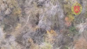 У укропов явные проблемы с блиндажом 😂