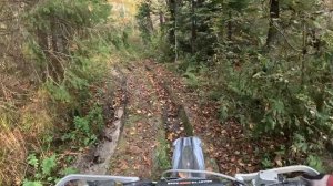 Лайт прогулка на ручей Кипун