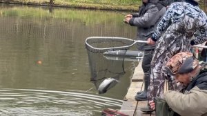 Владимир в деле