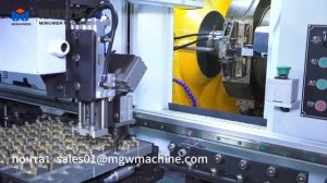 Special Machinery for Gate Valve Wedge Disc