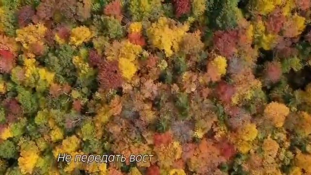 О , Господи, какая красота. Я Восхищаюсь . Христианская песня смотреть онлайн