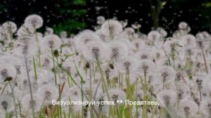 Практика "я все смогу" Приятный шепот!
Слушайте каждый день! и у вас все получится!