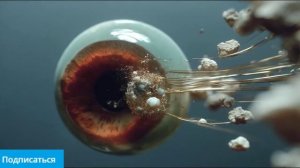 Существа оживают ｜ Ключевые кадры