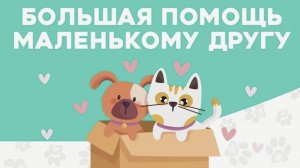 Новогоднее чудо для животных. Нужна помощь!