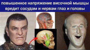 Височно-бровные линии влияют на здоровье глаз и мозга. Методы декомпрессии