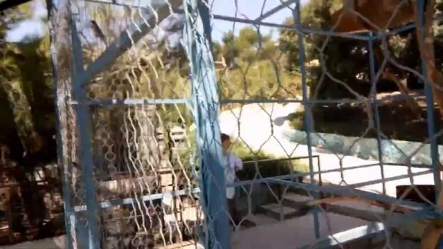 Сафари парк в Геленджике